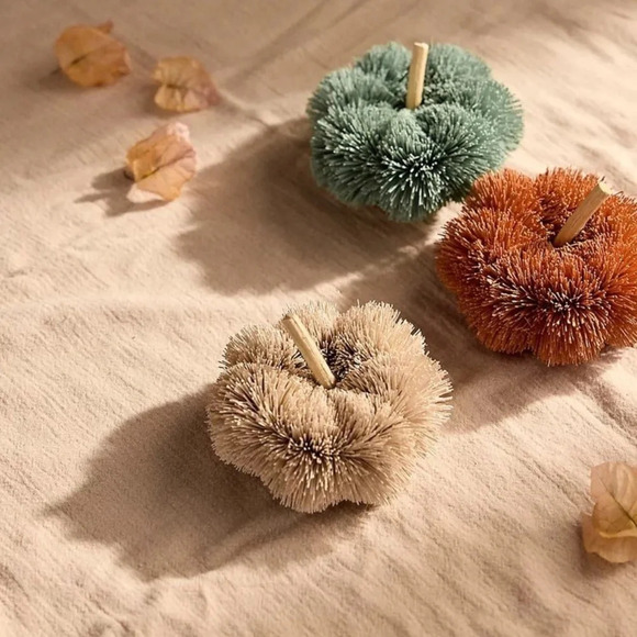 NWT ANTHROPOLOGIE TERRAIN Beige  BRUSH BOTTLE PUMPKIN - Picture 3 of 6